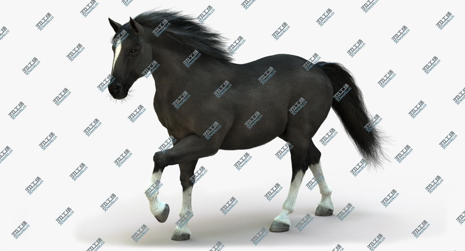 images/goods_img/20210319/3D Horse (2) (Black) (ANIMATED) (FUR)/2.jpg